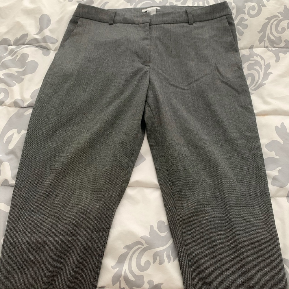 Casual Dress Pants